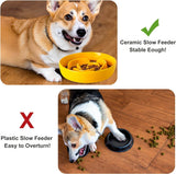 KUTKUT Ceramic Slow Feeder Dog Bowls, Pet Slow Feeder for Puppy Kitten, Slow Down Puzzle Eating Dog Food Bowl Food Dish for Fast Eaters Small Pets
