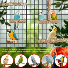 KUTKUT Natural Wood Bird Perchs (Pack of 4 Wooden Perch Including Swing)