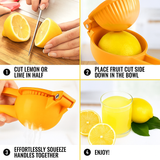 EZYHOME Manual Juicer Citrus With Life Time Warrenty Lemon Squeezer, Fruit Juicer Large Size Lime Press Metal, Professional Hand Fruit Juicer Kitchen Tool, Manual Press for Extracting the Juice Possible