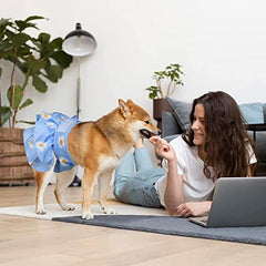 KUTKUT 2 Pcs Female Dog Adjustable Diapers Reusable Washable Super Absorbency Leak-Proof Dog Nappie Dresses for Dogs in Heat, Period or Excitable Urination, Sanitary Panties Dress - kutkutsty