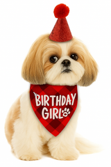 KUTKUT Boy Bandana and Hat Set “Birthday Girl” Print Plaid Dogs Party Supplies Triangle Scarf Bibs for Small Medium Large Pets (Red)