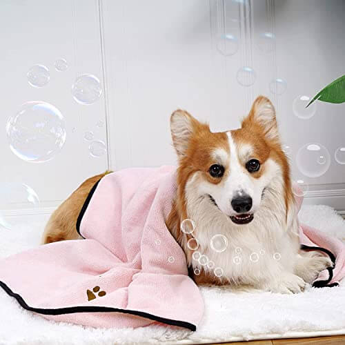 KUTKUT Pack of 2 Microfiber Dog Bath Towel Super Absorbent Pet Ultra Drying Towels for Small & Medium Dogs and Cats - kutkutstyle