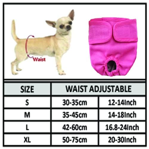 KUTKUT Combo of 2 Reusable Pet Cotton Physiological Diapers, Washable Sanitary Pet Physiological Pant|Adjustable Menstruation Underwear for Female Dog in Heat Period - kutkutstyle