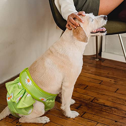 KUTKUT 2 Pcs Female Dog Diapers Adjustable Washable Reusable Super Absorbency Leak-Proof Dog Nappie Dresses for Dogs in Heat, Period or Excitable Urination, Sanitary Panties Dress - kutkutsty
