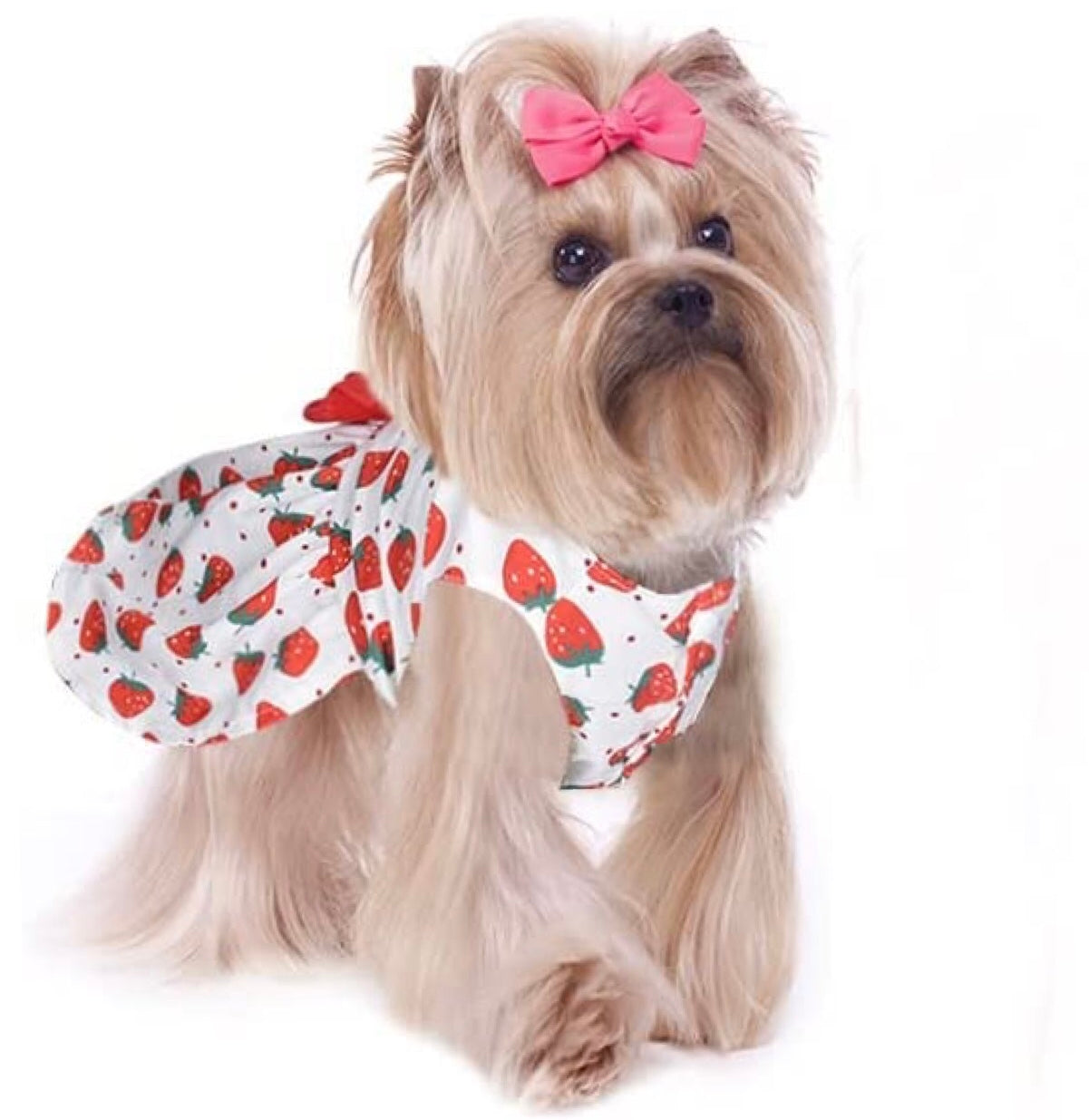 KUTKUT 3 Pcs Dog Dress for Small Dogs Girl, Princess Puppy Dress with Bow for Yorkie Maltese, Summer Pet Clothes Dog Tutu Skirt, Doggie Outfits Cat Apparel - kutkutstyle