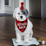 KUTKUT Boy Bandana and Hat Set “Birthday Girl” Print Plaid Dogs Party Supplies Triangle Scarf Bibs for Small Medium Large Pets (Red)