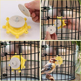 KUTKUT Bird Toys for Parakeets, Funny Parrot Spinner Toy Wheel Interactive Parrot Rotate Toy Rattle Cockatiel Toy for Chewing Exercise Bird Cage Entertainment  Chewing Toy for Budgies Lovebirds