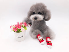 KUTKUT - Set of 8Pcs Anti -Slip New Born Puppy Kitten Socks, Pet Paw Protector Small Puppy Socks with 8 Pieces Adjustable Straps, Socks for Small Puppies, Kitten