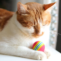 KUTKUT 24 PCS Cat Toys for Indoor Cats, Kitten Toys with Cat Spring Toy, Mint Catnip Toys for Cats with Crinkle Cat Toy Mouse Cat Ball Toy for Indoor Cats Kittens Exercise