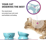 KUTKUT Set of 2 Pcs Elevated Small Dog & Cat Food and Water Bowl Set, Tilted Elevated Cat Food Bowls No Spill, Ceramic, Pet Bowl for Flat-Faced Cats and Small Dogs