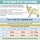 KUTKUT Polycotton Fleece Small Dog Hoodie | Spring and Autumn Casual Little Diva Hoodie for Small Dogs, Puppies Cats, Girl Dog Clothes Sweater Winter Sweatshirt Cotton Hoodie