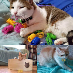 KUTKUT 48Pcs Cat Spring Toys, Cat Spiral Springs for Indoor Cats, Colorful & Durable Plastic Spring Coils Attract Cats to Swat, Bite, Hunt, BPA Free Durable Heavy Plastic Interactive Toys for Kittens