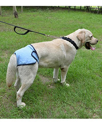 KUTKUT Combo of 2 Reusable & Washable Pet Cotton Sanitary Pet Diaper| Adjustable Menstruation Underwear for Female Dog in Heat Period - kutkutstyle