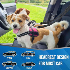 KUTKUT Double Dog Seat Belt, Dual Pet Car Headrest Restraint Safety Seatbelt No Tangle Dog Leash Duty Adjust Elastic Bungee Lead Splitter Connect Harness in Vehicle Travel for 2 Dogs (Black)