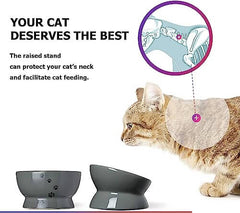 KUTKUT Set of 2 Pcs Elevated Cat and Small Dog Food and Water Bowl Set, Tilted Elevated Cat Food Bowls No Spill, Ceramic Cat Food Feeder Bowl Collection, Pet Bowl for Flat-Faced Cats and Small Dogs