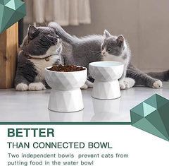 KUTKUT 2Pcs Ceramic Cat Bowl Anti Vomiting, Raised-Cat Food & Water Bowl for Cats and Small Dogs, Ceramic Food Bowl for Protecting Spine, Backflow Prevention Dishwasher Safe(Pack of 2 (Oval W