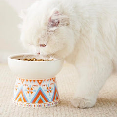 KUTKUT Set of 2Pcs Ceramic Cat Food Or Water Bowl, Raised Cat Feeder Dishes with Stand, Elevated Pet Food Bowl for Cats and Small Dogs, Stress Free Backflow Prevention & Reduce Neck Burden - 