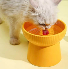 KUTKUT Ceramic Cat Food Or Water Bowl, 2 Pcs Raised Cat Feeder Dish with Stand, Elevated Pet Food Bowl for Cats and Small Dogs, Stress Free Backflow Prevention, Anti Vomiting Reduce Neck Burd