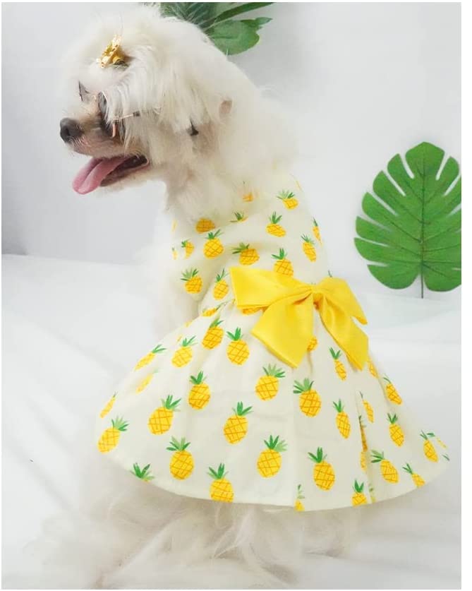 KUTKUT Combo of 3 Pcs Fruit Print Soft Comfortable Cotton Dress For ShihTzu, Lhasa Apso, Bichon etc | Beautiful Cute Backnot Strap Princess Skirt For Small Dogs & Cats - kutkutstyle