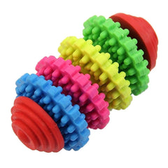 KUTKUT Set of 2 Durable Health Gear Gums Teething Chew Toy and Funny Plush Strawberry Design Squeak Sound Stuffed Chew Toy for Dogs and Cats