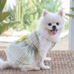 KUTKUT Set of 2 Frock Dress for Small Dog Cat Girl Puppy Clothes Female Princess Tutu Striped Summer Skirt for Shihtzu, ToyPoodle, Bichon etc Cat Pet Apparel