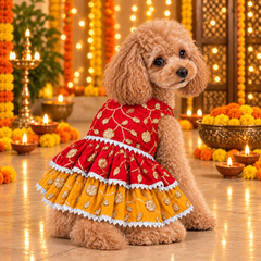 KUTKUT Zari Embroidered Festive Dress for Small Dogs & Cats, Sleeveless, Sequin Work, Two-Layer Skirt, Silver LCE Trim Outfit for Maltese, Shihtzu, Small Pups & Cats