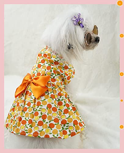 KUTKUT Combo of 3 Pcs Fruit Print Soft Comfortable Cotton Dress For ShihTzu, Lhasa Apso, Bichon etc | Beautiful Cute Backnot Strap Princess Skirt For Small Dogs & Cats - kutkutstyle