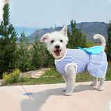 KUTKUT Pack of 2 Striped Frock Dress for Small Dog Cat Girl Puppy Clothes, Tutu Skirt Summer Shirt for Shihtzu, Papillon, Pekingese etc Cat Pet Apparel Outfits
