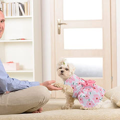 KUTKUT Combo of 2 Pcs Cute Small Pet Dress with Lovely Bow Pet Apparel Dog Clothes for Dogs & Cats | Puppy Summer Dress Birthday Pet Apparel Dress - kutkutstyle