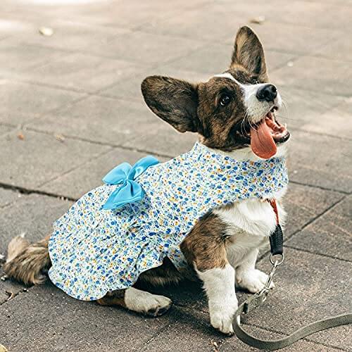 KUTKUT 2 Pack Elegant Floral Puppy & Cat Princess Dresses | Cute Bowknot Pet Flower Sundress Tutu Skirt Summer Cloth for Yorkii, Pomeranian, Shihtzu Pup etc - kutkutstyle