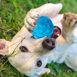 KUTKUT Pack of 3 Dura Squeak Dog Balls (Interactive Dog Toy That Float & Squeak) BallsLabrador, Golden Retriever Tennis Balls