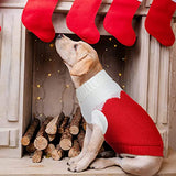 KUTKUT 2Pcs Small Dog Sweaters,Warm Turtleneck Knitted Girl Dog Clothes, Cute Heart Pet Knitwear Soft Puppy Pullover Vest Outfits - kutkutstyle