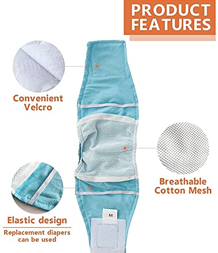 KUTKUT 2Pcs Small Boy Dog Cat Wrap Washable & Reusable Diaper, Male Belly Band Casual Nappy Wrap, Anti Urinary Physiological Pants Underwear for Small Boy Dogs Cats - kutkutstyle