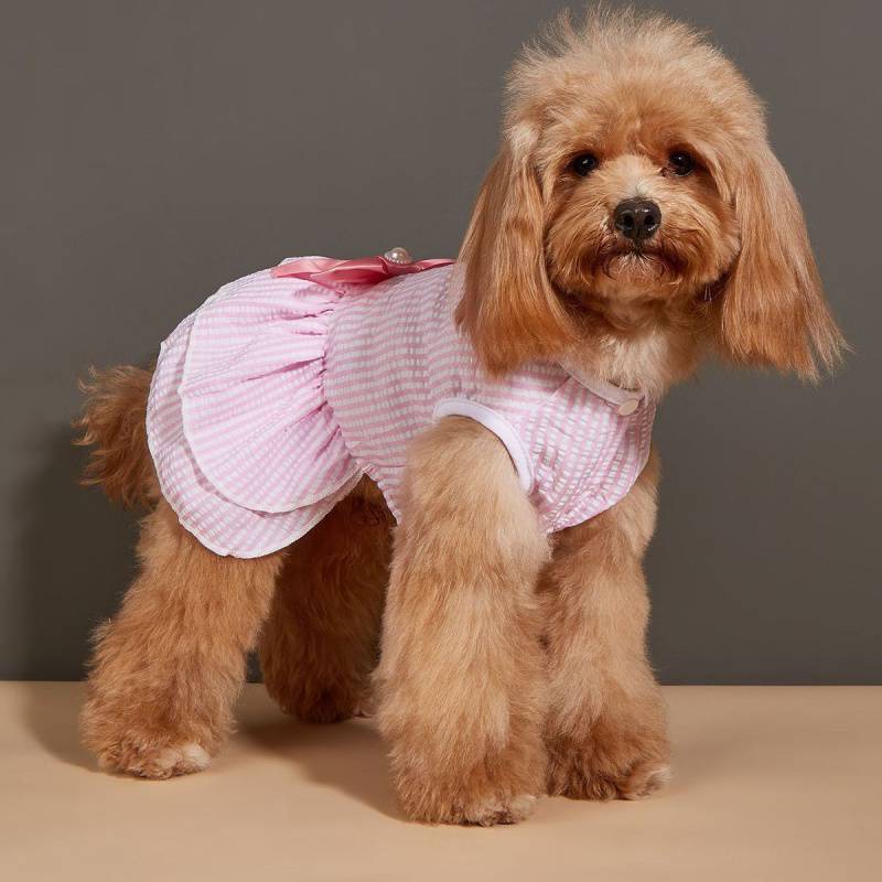 KUTKUT Dress for Small Breed Dog Puppy Clothes Female Princess Tutu Striped Skirt Summer Shirt for Shihtzu, Papillon etc Cat Pet Apparel Outfits - kutkutstyle