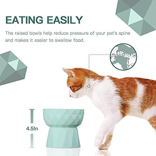KUTKUT 2Pcs Ceramic Cat Food or Water Bowl, Raised Cat Feeder Dishes with Stand, Elevated Pet Food Bowl for Cats and Small Dogs (Pack of 2 (Oval Mint Green)) - kutkutstyle