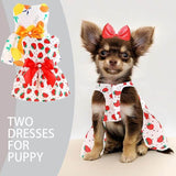 KUTKUT 2 Pcs Dog Girl Dresses, Small Dogs Clothes Girls Outfit for Pets Puppy Dresses Floral Summer Cute Female Cat Small Doggi Dress For ShihTzu, Poodle etc