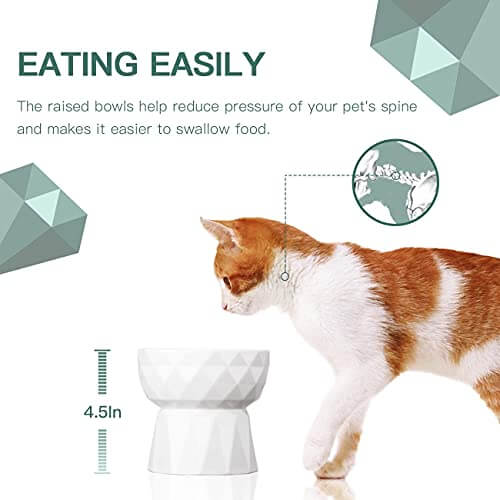 KUTKUT 2Pcs Ceramic Cat Bowl Anti Vomiting, Raised-Cat Food & Water Bowl for Cats and Small Dogs, Ceramic Food Bowl for Protecting Spine, Backflow Prevention Dishwasher Safe(Pack of 2 (Oval W