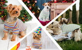 KUTKUT Stripe Print Pet Vest Breathable Autumn, Spring & Summer Cotton Stretchable Shirt for Small Dogs Shihtzu, Bichon, Maltese etc and Cats - kutkutstyle