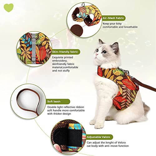 KUTKUT Combo of 2Pcs Cat Harness and Leash for Walking Escape Proof Air Mesh Fabric Outdoor Walking Vest with Reflective Strips for Cute Kittens and Small Puppies - kutkutstyle