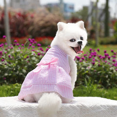 KUTKUT Combo of 2 Dress for Small Kitten Girl Puppy Clothes Female Princess Tutu Striped Skirt Summer Shirt for Chiuhuahua, Kittens Cat Pet Apparel Outfits - kutkutstyle