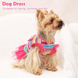 KUTKUT Dog Clothes Girl Dog Dress Puppy Dresses Pet Dress Shirt Female Cavalier King, Frenchi Cat Tulle Dress Birthday Party Lace Costume Stripes Tutu Skirt Apparel Bow Outfit (Multi)