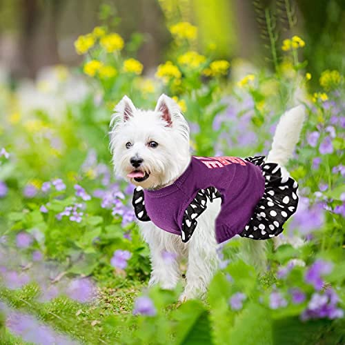 KUTKUT 2 Pieces Dog Cat Girl Dresses, Cute Girl Female Dog Dress Mommy Puppy Shirt Skirt Doggie Dresses Pet Summer Clothes Apparel for Yorkii, Maltese etc Dogs and Cats - kutkutstyle