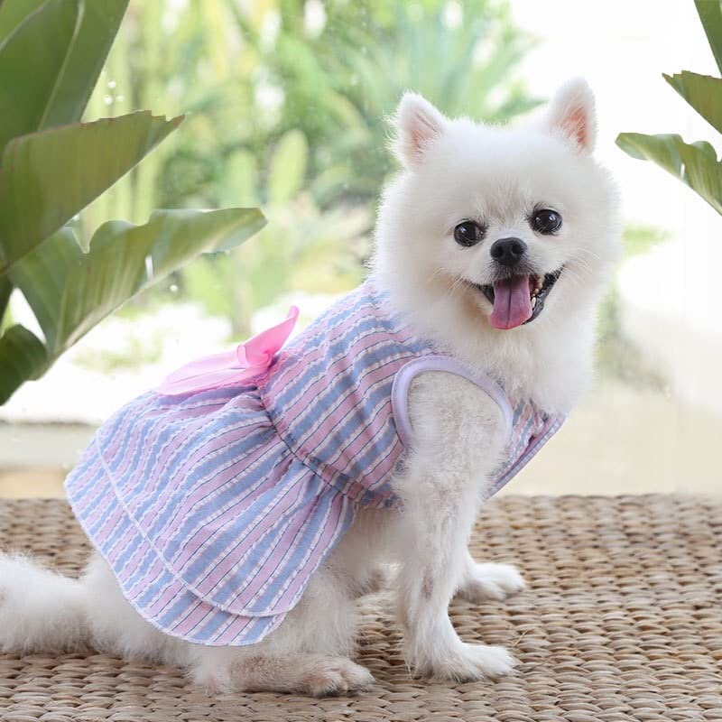 KUTKUT Combo of 2 Frock Dress for Small Dog Girl, Puppy Clothes Female Princess Tutu Striped Skirt for Shihtzu, Papillon, Pekingese etc Cat Pet Apparel Outfits - kutkutstyle