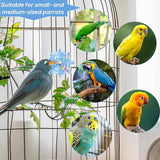 KUTKUT Bird Toys for Parrots - Spinning Wheel Chew Toy with Rotating Plastic Spinner, Enrichment Puzzle Cage Activity for Parakeets, Conures & Cockatiels