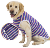 KUTKUT Cotton Striped Dog Shirts for Large Dogs | Breathable Stretchy Fashion Big Dogs Clothes for Labarador, Golden Retriver, Samoyed etc (Purple)