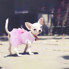 KUTKUT Pack of 3 Dresses for Small Puppy Kitten Rabbit Girl Clothes, Female Princess Tutu Striped Summer Skirt for Chiuhuahua Cat Pet Apparel Outfits