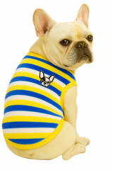 KUTKUT Velvet Fleece Dog Shirt|Stripes Pattern Button Closure Warm Sweatshirt for Small Dogs Cats Boy Girl|Winter Pullover Clothes for Puppy French Bulldog, Pug etc.