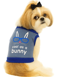 KUTKUT Drooling Small Dog and Cat Shirt | Breathable Autumn, Spring & Winter Cotton Fleece Sleeveless Shirt for Shihtzu, Maltese, ToyPoodle, Papillon (Size: L, Chest Girth 45cm, Back Length 35cm)
