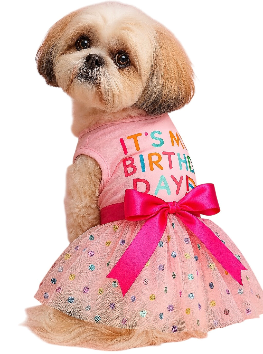 KUTKUT Small Dog Dress Birthday Clothes for Small Dogs & Cats &  Polka Dot Colorful Print Mesh Girl Dog Dress &  Summer Tutu Princess Pet Puppy Clothing