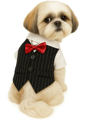 KUTKUT Striped Dog Tuxedo Shirt Formal Suit Bow Tie Costume Stylish Pet Wedding Shirts Dog Prince Wedding Bow Tie Shirt Gentleman Apparel Puppy Clothes for Small Dogs Cats